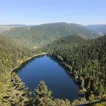 Chalet Bois Le Havre Du Sotrè Sauna Panoramique Jacuzzi 14 Personnes Et 2 Bébés *