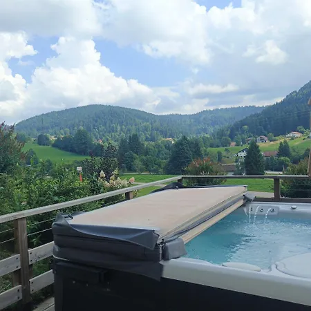 Bois Le Havre Du Sotre Sauna Panoramique Jacuzzi 14 Personnes Et 1 Bebe Gerardmer