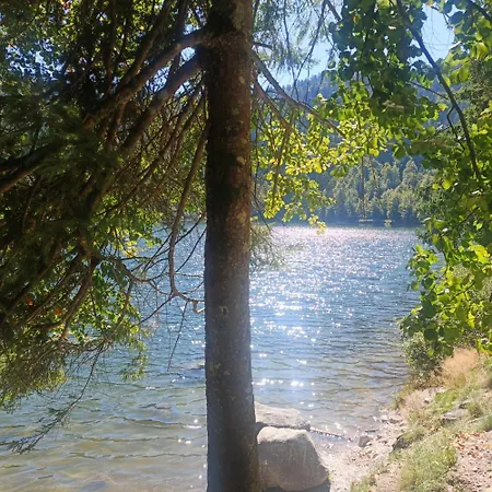 Chalet Bois Le Havre Du Sotrè Sauna Panoramique Jacuzzi 14 Personnes Et 2 Bébés