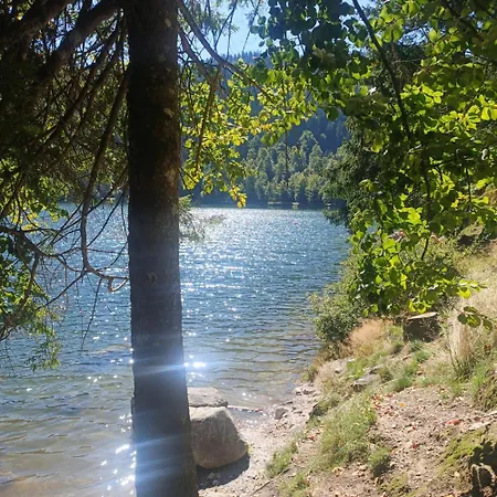 Chalet Bois Le Havre Du Sotre Sauna Panoramique Jacuzzi 14 Personnes Et 1 Bebe Gerardmer