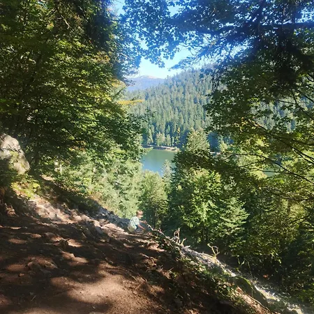 Chalet Bois Le Havre Du Sotrè Sauna Panoramique Jacuzzi 14 Personnes Et 2 Bébés Gérardmer