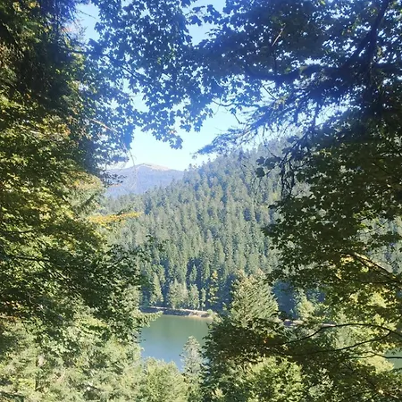 Bois Le Havre Du Sotrè Sauna Panoramique Jacuzzi 14 Personnes Et 2 Bébés Chalet *