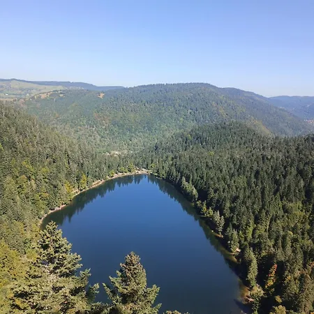 Bois Le Havre Du Sotre Sauna Panoramique Jacuzzi 14 Personnes Et 1 Bebe Chalet Gerardmer