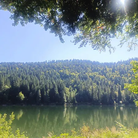 Bois Le Havre Du Sotre Sauna Panoramique Jacuzzi 14 Personnes Et 1 Bebe Chalet