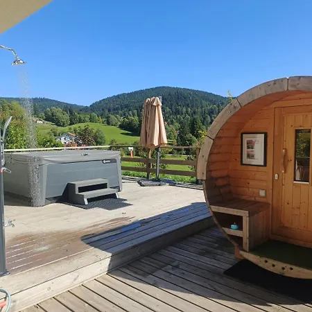 Bois Le Havre Du Sotrè Sauna Panoramique Jacuzzi 14 Personnes Et 2 Bébés Chalet Gérardmer
