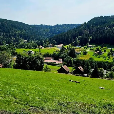 Bois Le Havre Du Sotrè Sauna Panoramique Jacuzzi 14 Personnes Et 2 Bébés Gérardmer