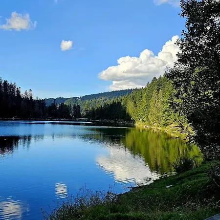 Bois Le Havre Du Sotre Sauna Panoramique Jacuzzi 14 Personnes Et 1 Bebe * Gerardmer