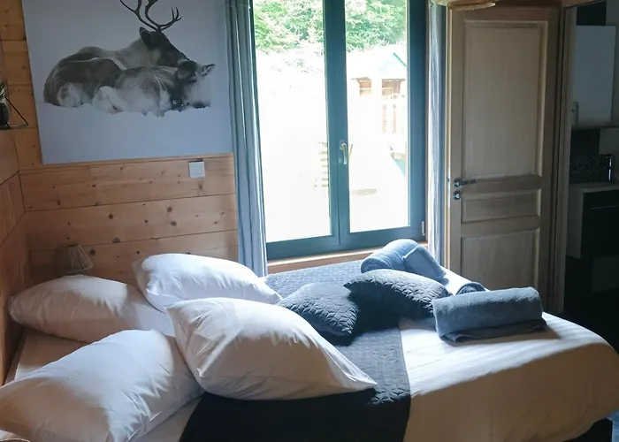 Bois Le Havre Du Sotre Sauna Panoramique Jacuzzi 14 Personnes Et 1 Bebe