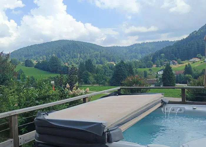 Bois Le Havre Du Sotre Sauna Panoramique Jacuzzi 14 Personnes Et 1 Bebe Gérardmer