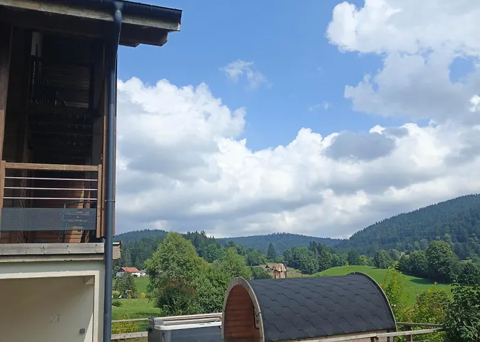 Bois Le Havre Du Sotre Sauna Panoramique Jacuzzi 14 Personnes Et 1 Bebe * Gérardmer