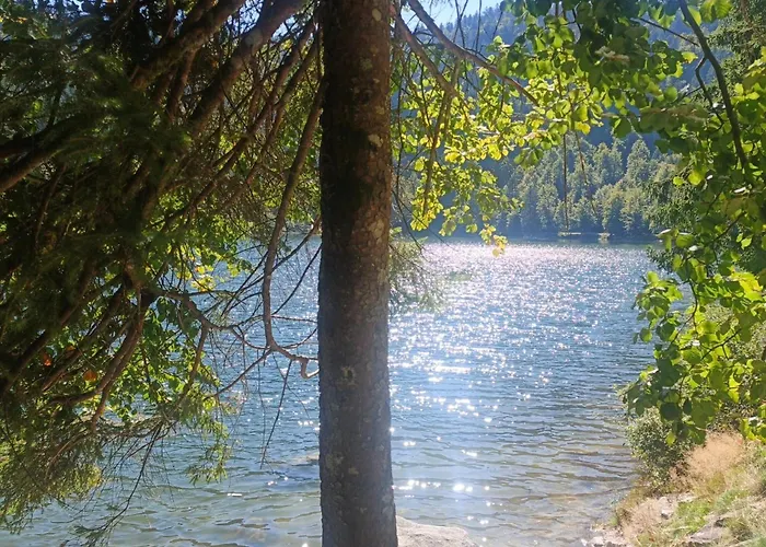 شاليه Bois Le Havre Du Sotre Sauna Panoramique Jacuzzi 14 Personnes Et 1 Bebe