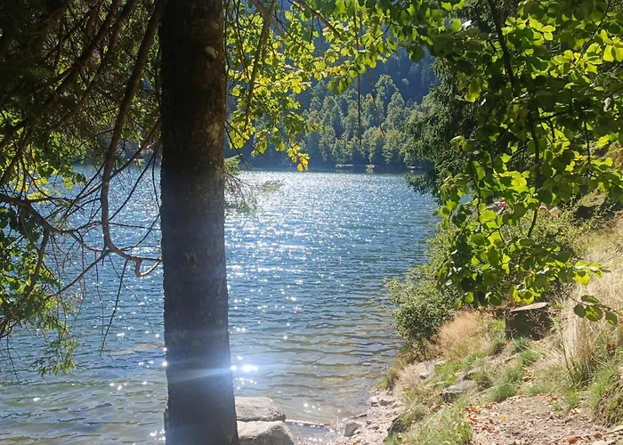Horská chata Bois Le Havre Du Sotre Sauna Panoramique Jacuzzi 14 Personnes Et 1 Bebe Gérardmer