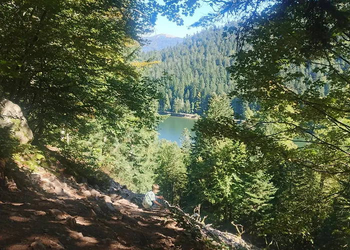 Horská chata Bois Le Havre Du Sotre Sauna Panoramique Jacuzzi 14 Personnes Et 1 Bebe Gérardmer