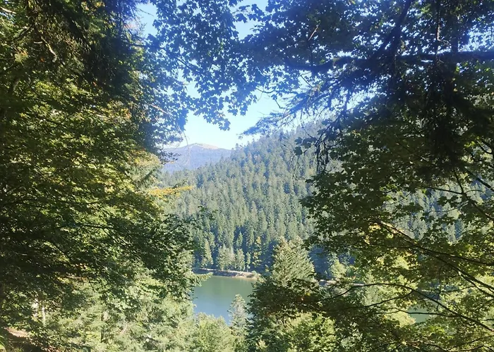 Bois Le Havre Du Sotre Sauna Panoramique Jacuzzi 14 Personnes Et 1 Bebe Horská chata *