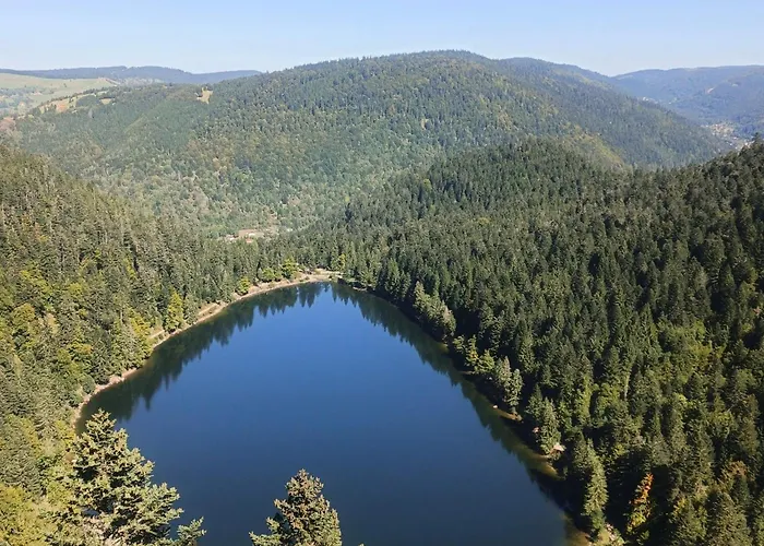 شاليه Bois Le Havre Du Sotre Sauna Panoramique Jacuzzi 14 Personnes Et 1 Bebe *