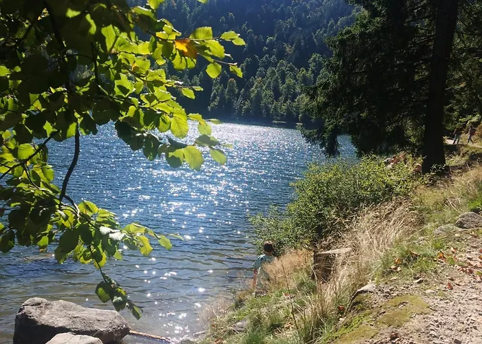 Bois Le Havre Du Sotre Sauna Panoramique Jacuzzi 14 Personnes Et 1 Bebe *