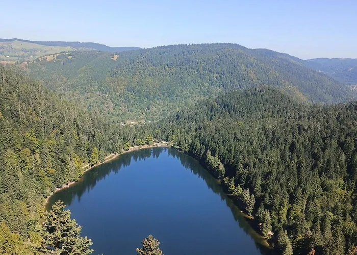 Bois Le Havre Du Sotre Sauna Panoramique Jacuzzi 14 Personnes Et 1 Bebe Horská chata Gérardmer