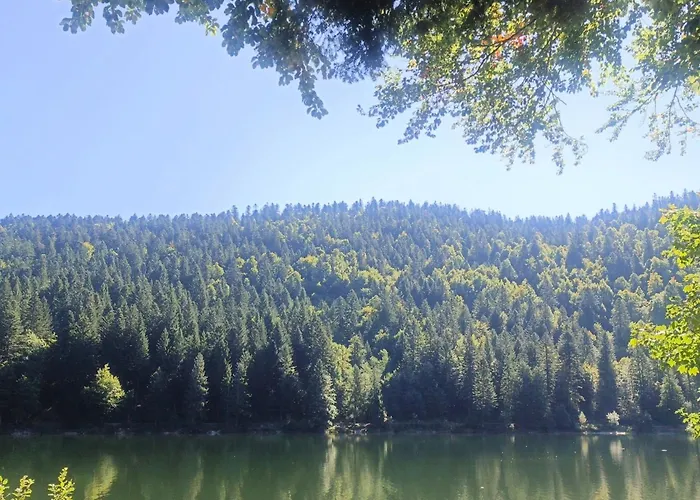 Bois Le Havre Du Sotre Sauna Panoramique Jacuzzi 14 Personnes Et 1 Bebe Horská chata