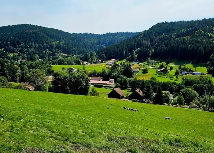 Bois Le Havre Du Sotre Sauna Panoramique Jacuzzi 14 Personnes Et 1 Bebe Gérardmer
