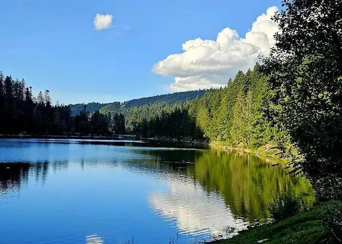 Bois Le Havre Du Sotre Sauna Panoramique Jacuzzi 14 Personnes Et 1 Bebe * Gérardmer