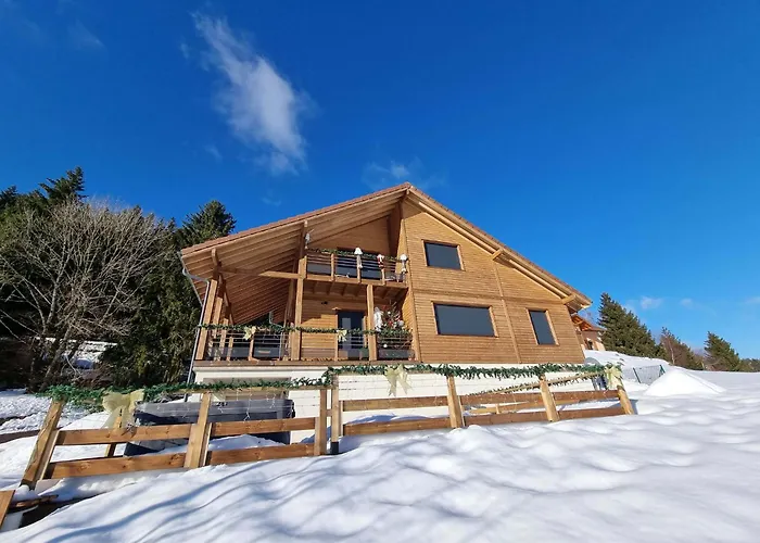 Bois Le Havre Du Sotre Sauna Panoramique Jacuzzi 14 Personnes Et 1 Bebe Gérardmer